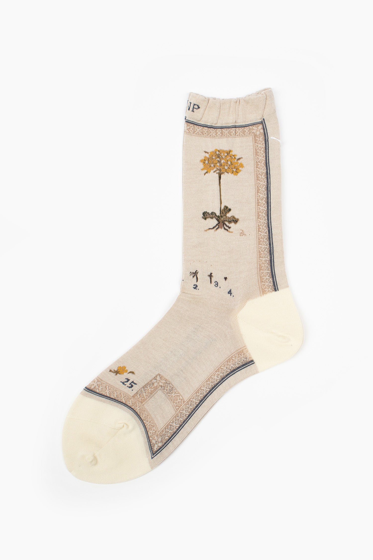 AM-801 Botanical XVI Socks Ivory